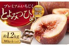 福岡産ブランド 無花果 とよみつひめ （約300g×4パック）《豊前市》【南国フルーツ株式会社】いちじく フルーツ 季節 果物 [VBY008]