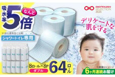 【通常エリア】【全6回定期便】トイレットペーパー ダブル HOZO 17m 8ロール×8パック《豊前市》【大分製紙】 [VAA032] 備蓄 防災 まとめ買い 日用品 消耗品 常備品 生活用品 大容量 トイレ