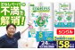 隔月配送 定期便 トイレットペーパー シングル 24ロール 130m 6ロール 4パック コアレス 日用品 消耗品 常備品