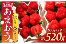 【先行予約】【1~4月発送】農家直送　大玉規格　特大大粒あまおう　《豊前》　【内藤農園】 [VAB023]