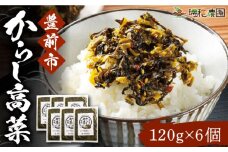 からし高菜120g×6個セット《豊前市》【株式会社瑞穂】 [VBG004]