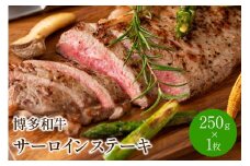 博多和牛サーロインステーキ　250g[250g×1枚]【014-0029】