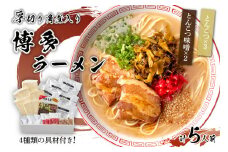 [豚骨ラーメン]新・厚切り角煮入り博多ラーメン　5人前【021-0005】