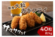 サクサクッ!国産大粒カキフライ40粒(約1kg)【001-0011】