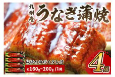 九州産うなぎ蒲焼4尾　秘伝つゆだくタレ付　中間老舗鮮魚店の味【001-0016】