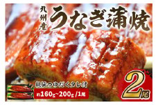 九州産うなぎ蒲焼2尾　秘伝つゆだくタレ付【001-0074】