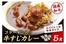 [博多和牛]ゴロッ!と入ったコラーゲン牛すじカレー5食【001-0085】