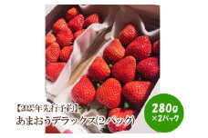 【2025年先行予約】あまおうデラックス(2パック)【044-0011】