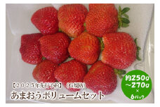 【2025年先行予約】あまおうボリュームセット(6パック)【044-0013】