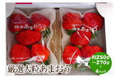 【2025年先行予約】厳選大粒あまおう(約250-270g×4パック)【044-0014】
