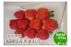 【2025年先行予約】【3回定期便】福岡県産あまおう約250-270g×3パック【044-0055】