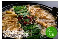 ぶどうの樹　九州産★和牛マル腸　もつ鍋（炊き餃子付き）あごだし醤油 （3～4人前）【066-0001】