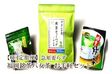 【6回定期便】福岡銘茶八女茶　急須要らずのお手軽セット【001-0366】