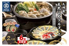 【6回定期便】九州産天然ふぐフルコース2人前　ちり鍋の〆はマルゴめん(中間市新名物のグルテンフリー米粉麺)【001-0398】