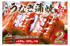 【6回定期便】九州産うなぎ蒲焼2尾　秘伝つゆだくタレ付【001-0385】