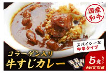 【6回定期便】ゴロッ!と入ったコラーゲン博多和牛　牛すじカレー5食セット【001-0388】