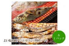 程よい塩加減アジとイワシ干物セットB【001-0314】