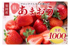 フルーツソムリエが選んだ福岡産【春】あまおう4パック【011-0050】