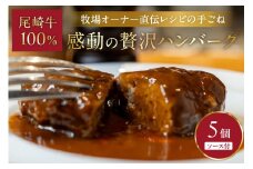 牧場オーナー直伝レシピの手ごね感動の贅沢ハンバーグ180g（ソース別）5個【069-0005】
