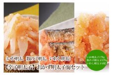 【辛子明太子】おかず明太子海セット（いか明太、数の子明太、いわし明太）【002-0007】