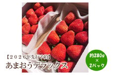 【2026年先行予約】あまおうデラックス(2パック)【044-0059】