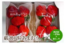 【2026年先行予約】厳選大粒あまおう(約250-270gx4パック)【044-0062】