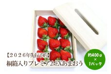 【2026年先行予約】桐箱入りプレミアムEXあまおう【044-0063】