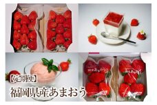 【2026年先行予約】【4回定期便】あまおう大好き定期便【044-0067】