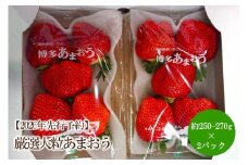 【2026年先行予約】厳選大粒あまおう(約250-270gx2パック)【044-0070】