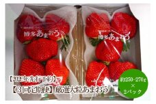 【2026年先行予約】【3回定期便】厳選大粒あまおう(約250-270gx2パック)【044-0071】