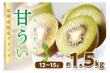 福岡限定!ブランドキウイ「甘うぃ(あまうぃ)」約1.5kg箱(12-15玉)【011-0069】