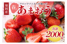フルーツソムリエが選んだ福岡産【春】あまおう8パック【011-0074】