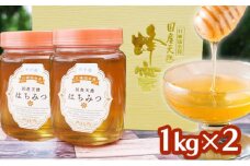 はちみつ 2kg (1kg×2) 非加熱 国産 天然 純はちみつ もちの木 蜂蜜 ハチミツ 天然蜂蜜 天然はちみつ 国産はちみつ 国産蜂蜜 無添加 無加工 非加熱はちみつ 非加熱蜂蜜 瓶詰め 福岡 福岡県 小郡市