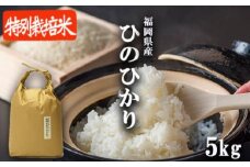 R6年度産 米 5kg 発送当日に精米します 小郡産 特A 特別栽培米 ひのひかり　白米 コメ 福岡県 お米 精米 ご飯 ごはん ヒノヒカリ国産 国産米 グルメ 食品