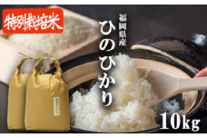 R6年度産 米 10kg 配送当日に精米します 小郡産 特A 特別栽培米 ひのひかり　白米 コメ 福岡県 お米 精米 ご飯 ごはん ヒノヒカリ国産 国産米 グルメ 食品