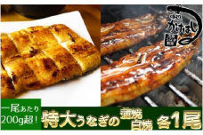 心に染みる「かけはし」の味 特大 うなぎの蒲焼き 白焼き（各1尾） 秘伝のタレ付