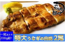 心に染みる「かけはし」の味 特大 うなぎの白焼き 2尾