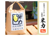 米 6kg (3kg×2) 米力 つきたて米 お米マイスターがお届け 精米したて 栽培期間中 完全無農薬 無農薬 化学肥料不使用 お米 こめ おこめ 白米 精米 単一原料米 ご飯 ごはん 福岡 福岡県 小郡市