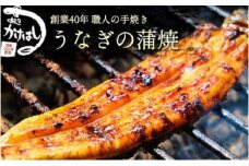 創業40年 全てが職人による手焼き うなぎの蒲焼き 4尾