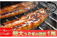 心に染みる「かけはし」の味 特大 うなぎの蒲焼き 1尾