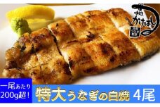 心に染みる「かけはし」の味 特大 うなぎの白焼き 4尾