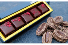 ボンボンショコラ5個(フランボワーズ)&フェーブ80g（コイン状チョコレート）／NICOchocolaterie チョコレート チョコレート専門店 ボンボンショコラ スイーツ お菓子 贈答用 ギフト お取り寄せ 福岡県 小郡市