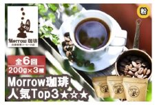 コーヒー 定期便 6ヶ月 「元珈琲嫌い」の店長が送る 自家焙煎 Morrow珈琲 人気TOP3 セット 粉 6回 お楽しみ