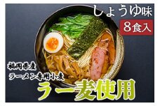 しょうゆラーメン 福岡県産 ラー麦使用 しょうゆ ラーメン 8食入 たなばたの里