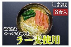 しお ラーメン 福岡県産 ラー麦使用 しおラーメン 8食入 塩 たなばたの里