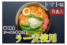 ラーメン 福岡県産 ラー麦使用 トマトラーメン 8食入 たなばたの里
