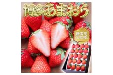 いちご いちごの王様 あまおう 2L 20粒 化粧箱入り イチゴ 苺 果物 デザート ベリー畑 福田ファーム ※配送不可：沖縄、離島