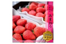 いちご いちごの王様 あまおう 2パック (280g×2) イチゴ 苺 果物 デザート ベリー畑 福田ファーム ※配送不可：沖縄、離島