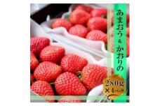 いちご いちごの王様 あまおう＆かおりの 各2パック セット (280g×4) イチゴ 苺 果物 デザート ベリー畑 福田ファーム ※配送不可：沖縄、離島