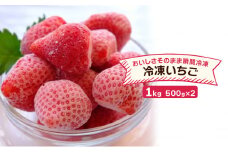 いちご 冷凍いちご 500g×2 イチゴ 苺 果物 デザート ベリー畑 福田ファーム ※配送不可：沖縄、離島